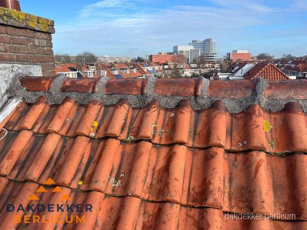 Pannendak met nokvorst en schoorsteen, dakrenovatie in Berlicum Pannendak met nokvorst en schoorsteen, dakrenovatie in Berlicum