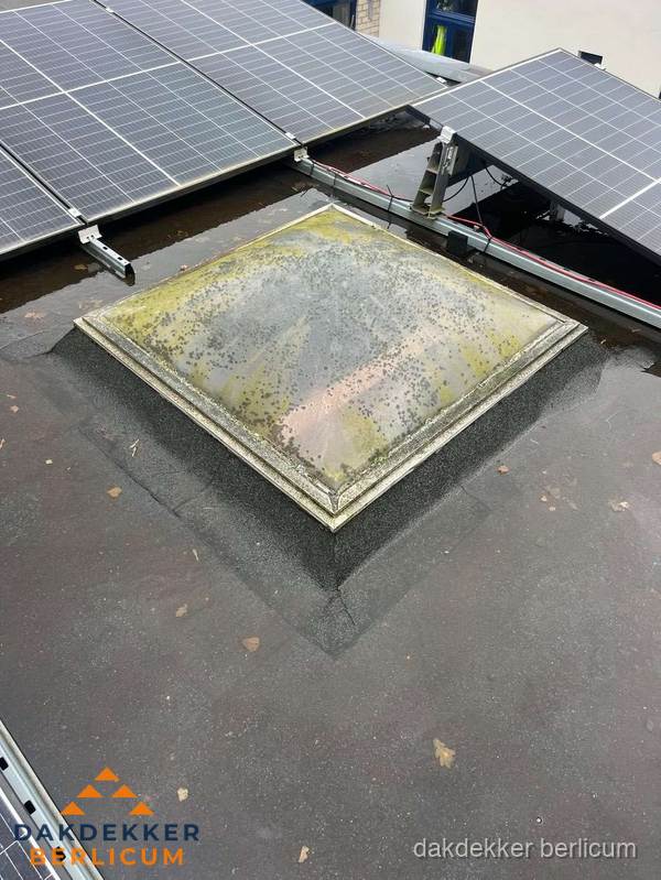 Vervuilde lichtkoepel op plat dak met zonnepanelen in Berlicum Vervuilde lichtkoepel op plat dak met zonnepanelen in Berlicum