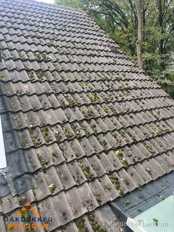 Verweerd pannendak met mosgroei dat renovatie nodig heeft in Berlicum Verweerd pannendak met mosgroei dat renovatie nodig heeft in Berlicum