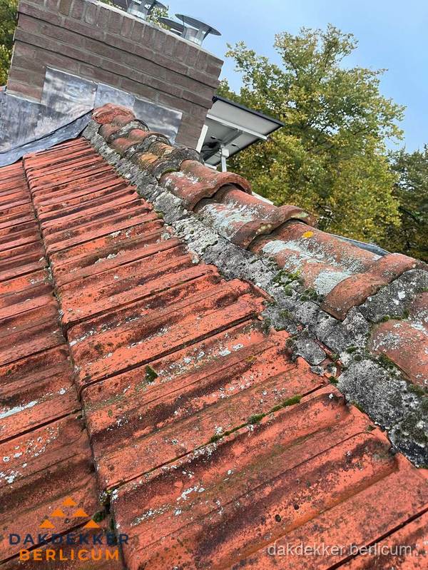 Verweerd hellend dak met mosgroei op nokvorst in Berlicum Verweerd hellend dak met mosgroei op nokvorst in Berlicum