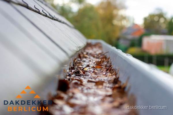 Verstopte dakgoot met bladeren schoonmaken in Berlicum Verstopte dakgoot met bladeren schoonmaken in Berlicum