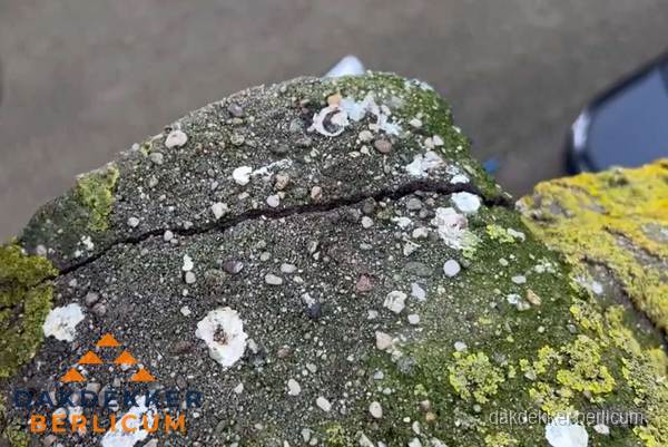 Beschadigde en verweerde nokvorst met scheuren en mos in Berlicum Beschadigde en verweerde nokvorst met scheuren en mos in Berlicum